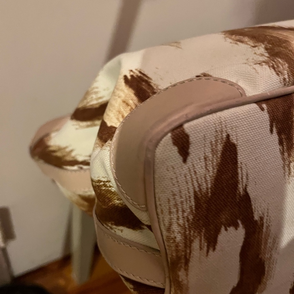 Dior Brown and Cream Women's Tote Bag - Picture 7 of 14